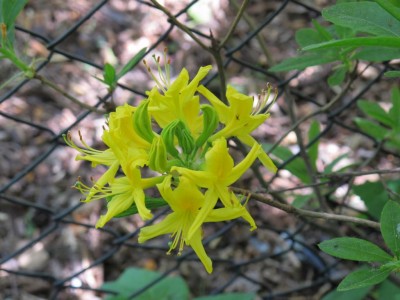 10.05.11 037.JPG