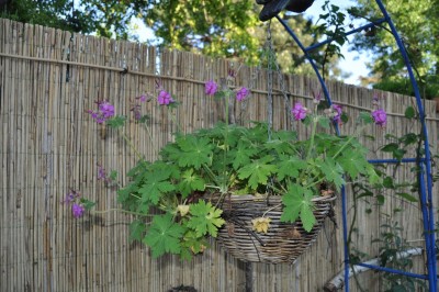 aaaaa 018 (1280x850).jpg