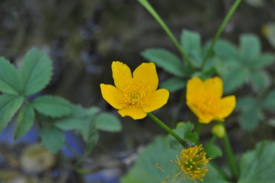 aaaaa 026 (1280x850).jpg
