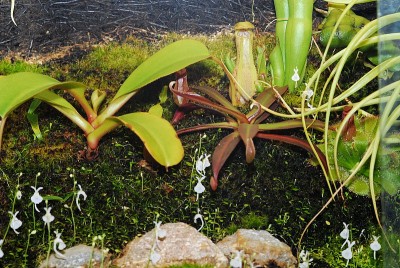 dsc_6903_Terra_links.jpg