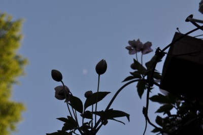 aaaaa 050 (1280x850).jpg