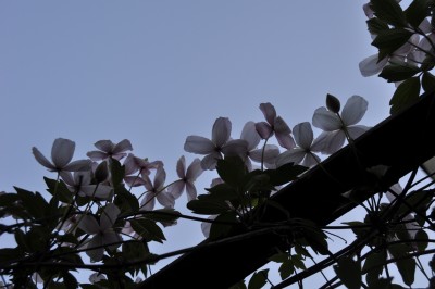 aaaaa 049 (1280x850).jpg