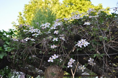 aaaaa 043 (1280x850).jpg