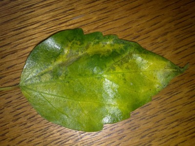 11052011270.jpg
