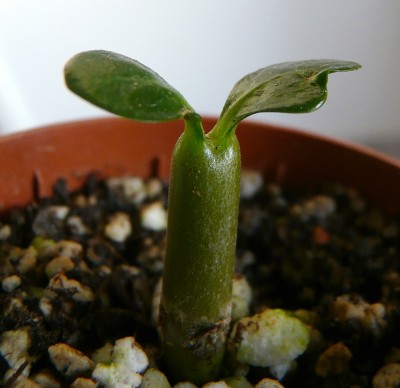 P2540624.JPG