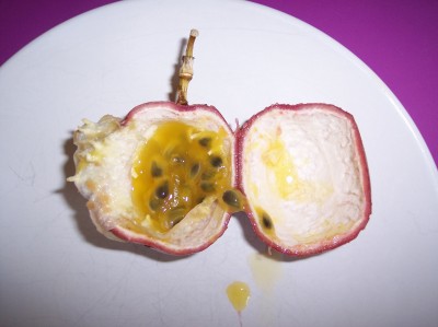 passi seeds 002klein.jpg