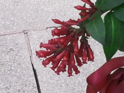 Foto0100E002.jpg