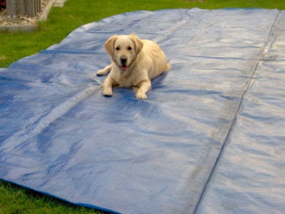 Feenja auf de Poolplane.JPG