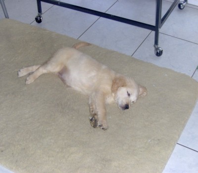 So schläft es sich doch gut 1.jpg