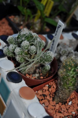 10.5 (32) (850x1280).jpg