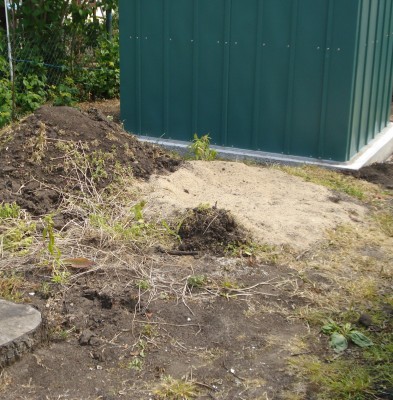 welche sträucher ?? · Gartenplanung & Gartengestaltung · GREEN24