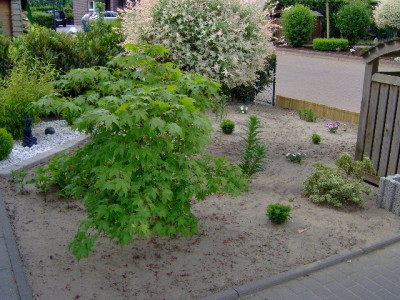 HPIM0294.JPG