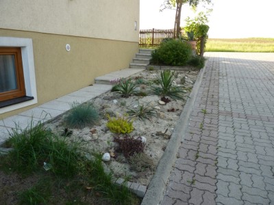 wüstengarten mai 2011.jpg