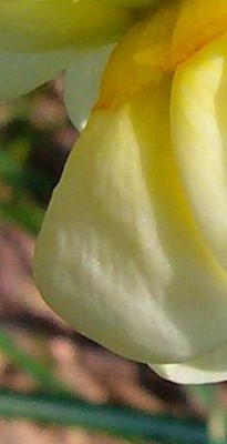 Ausschnitt Mairätsel - 14.05.2011.jpg