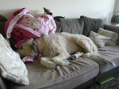 Zeus 14.5.11 009.JPG