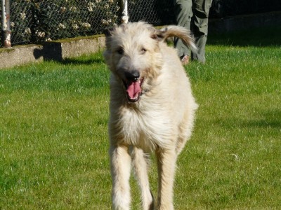 Zeus 14.5.11 007.JPG