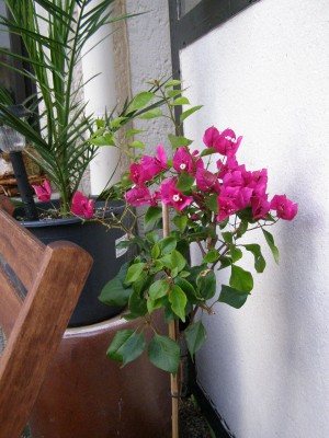 Friedrichsthal ab 20.11 036.jpg