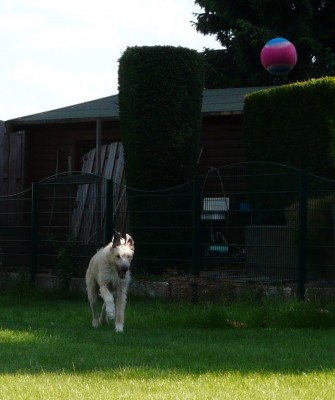 Zeus 14.5.11 001.JPG