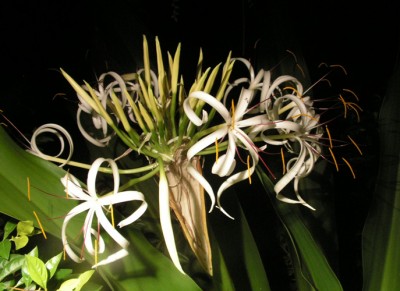 image2.jpg