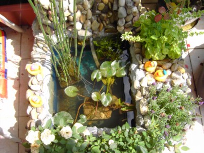 PICT0421.jpg