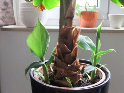 DSCF5982.JPG