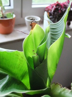 DSCF5981.JPG