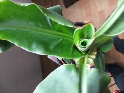 DSCF5980.JPG