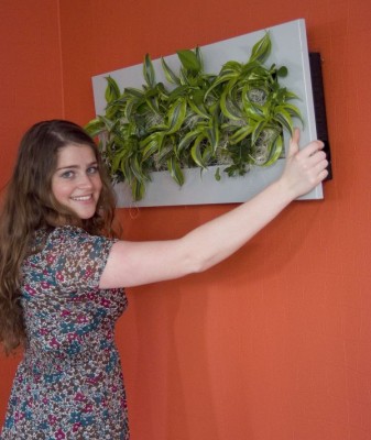 2442-Wallflower-Bilder.jpg