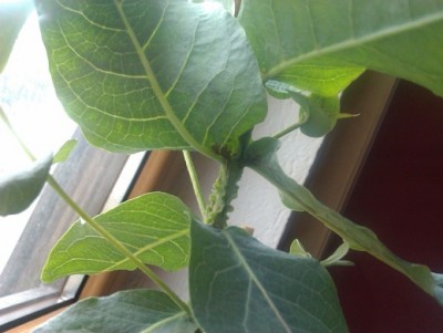 IMAG0023.jpg