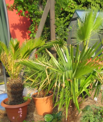 green24 038.jpg