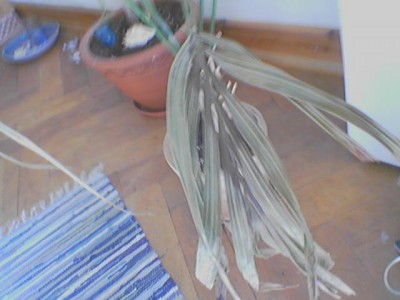 010519_091647.jpg
