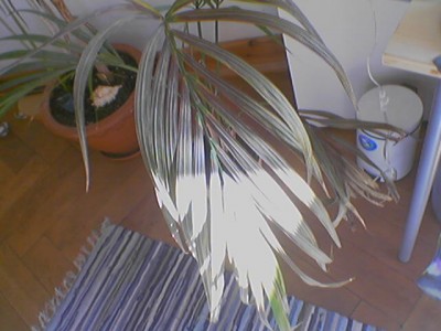 010519_091608.jpg