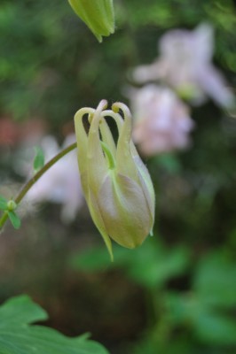 ujrsujmszflk 028 (850x1280).jpg