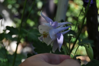 ujrsujmszflk 027 (1280x850).jpg