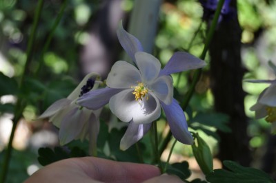 ujrsujmszflk 026 (1280x850).jpg