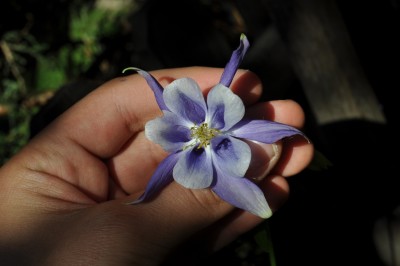 ujrsujmszflk 016 (1280x850).jpg