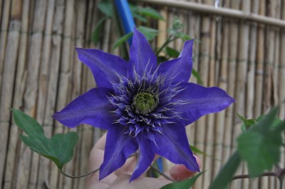 ujrsujmszflk 008 (1280x850).jpg