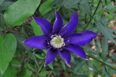 ujrsujmszflk 006 (1280x850).jpg