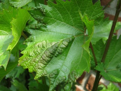 IMG_1670.JPG