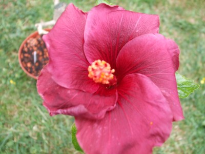 DSCF0103.JPG