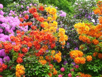 image0042002.jpg
