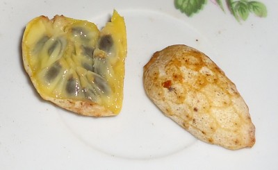 16. Unbekannte am 20.05.2011.JPG