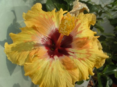 BILD0044.JPG