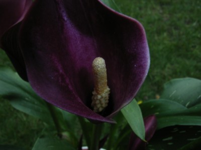 RIMG0078.JPG