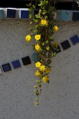 21.5 (15) (1328x2000).jpg