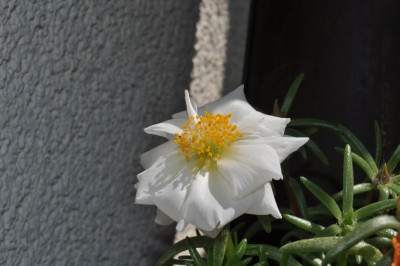 21.5 (13) (2000x1328).jpg