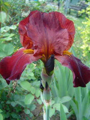 DSC08259.jpg