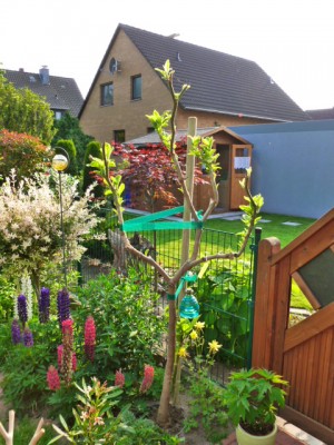 Langenbuscher Garten.JPG