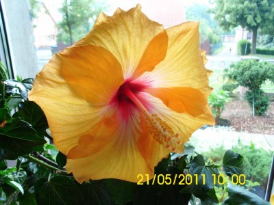 DSCI0662.JPG