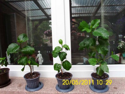 DSCI0657.JPG